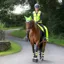 Woof Wear Junior Hi Vis Riding Vest Yellow