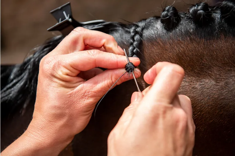 Smart Grooming Plaiting Needle 9 Pack-2