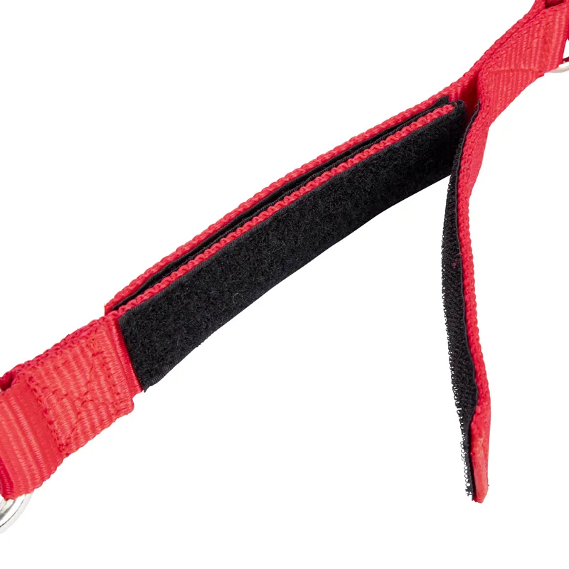 Shires Breakaway Trailer Tie Red-1
