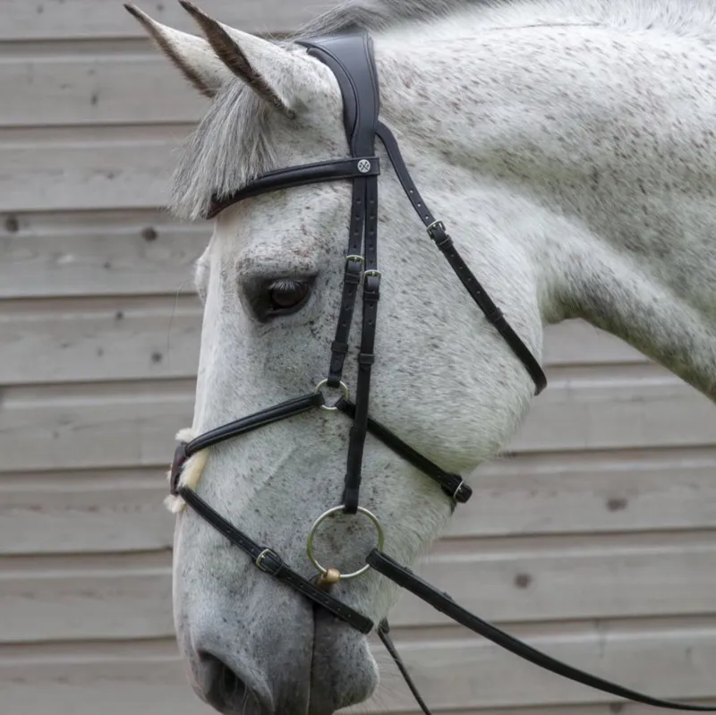 Henry James Mexican Grackle Bridle Black-1
