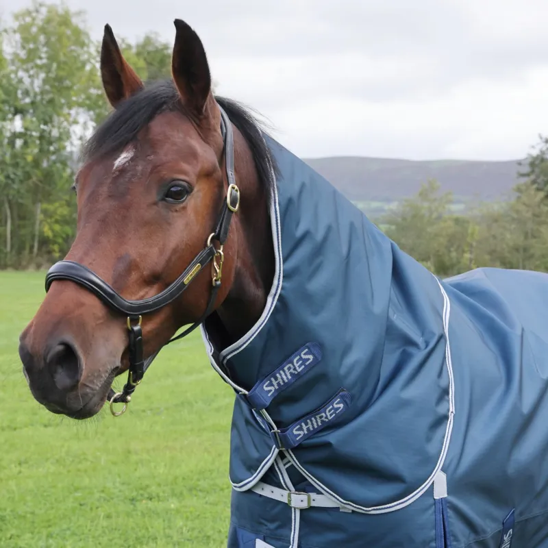Shires Highlander Original 50g Lite Turnout Rug And Neck Set Ocean-1
