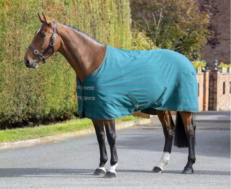 Shires Tempest Original Stable Sheet Teal Check