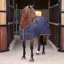 Shires Tempest Original Stable Sheet Ink