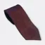 Equetech Adult Showing Tie Horseshoe Maroon