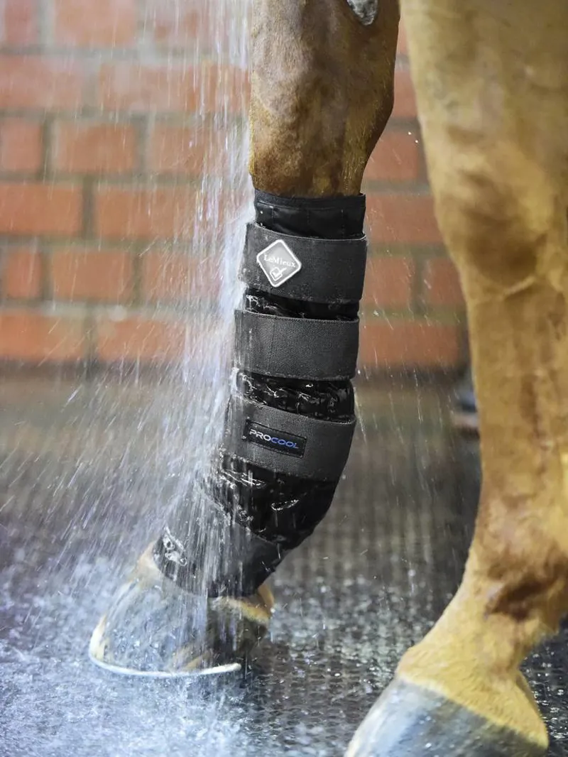 LeMieux Cold Water Boots-1
