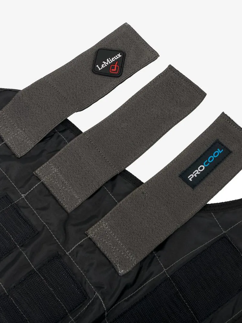 LeMieux Cold Water Boots-3