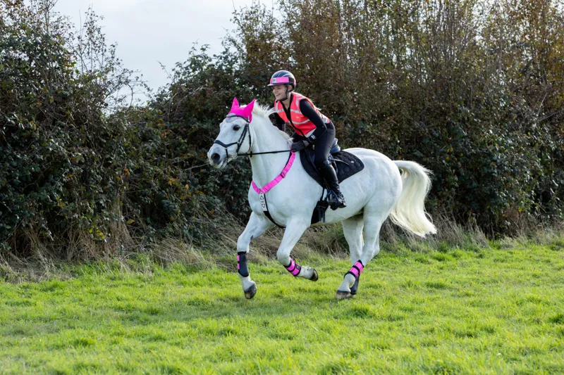 Woof Wear Hi Vis Riding Vest Pink-2