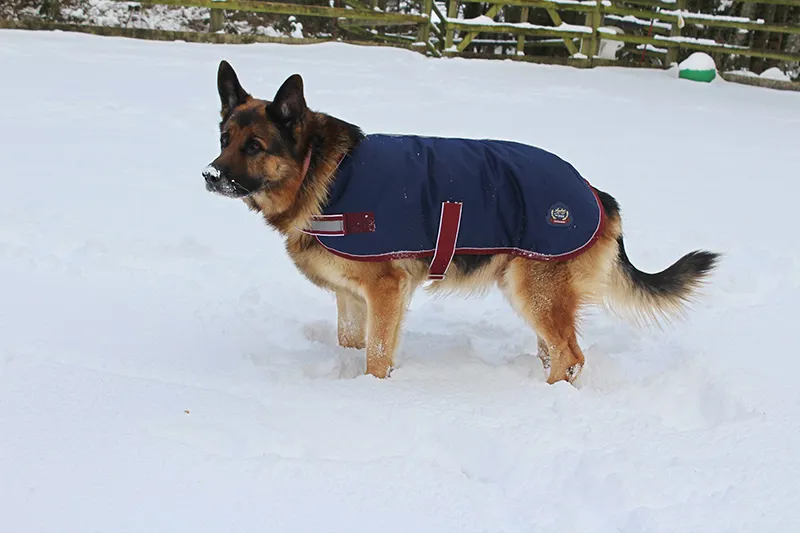 Mackey Buster 600D Dog Rug Navy/Burgundy-2