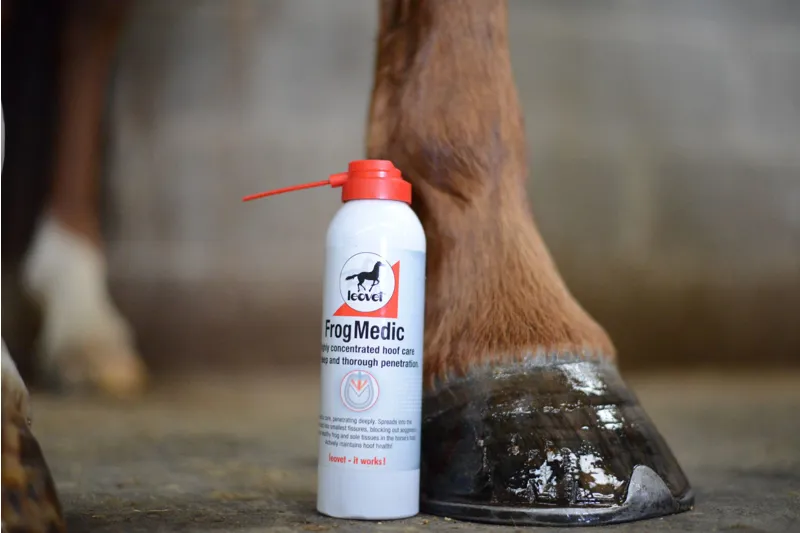 Leovet Frogmedic Spray 200ml-1