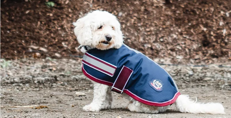 Mackey Buster 600D Dog Rug Navy/Burgundy-1
