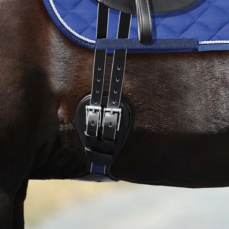Passier Blue Dressage Girth 28In Black-1