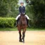 Shires Moretta Tivoli Field Boots Black Standard Short