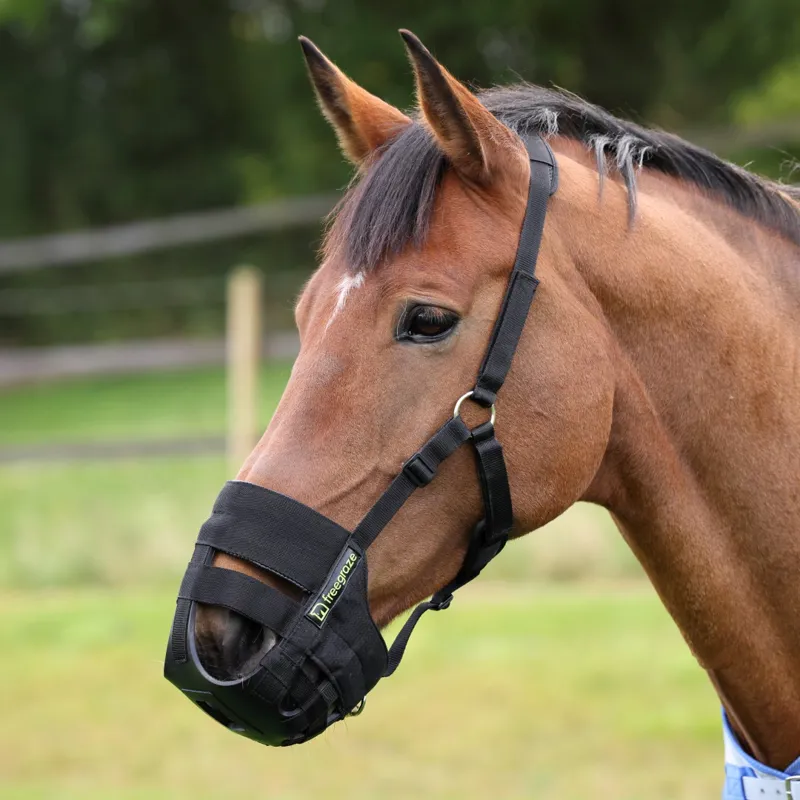Shires FreeGraze Airflow Grazing Muzzle Black
