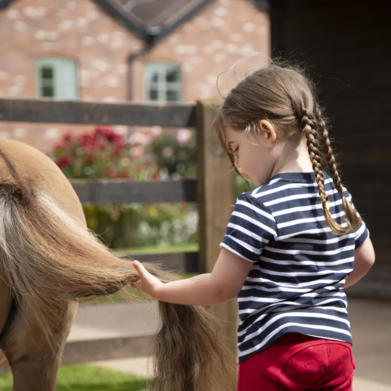 Shires Winnie And Me T-Shirt Navy-4