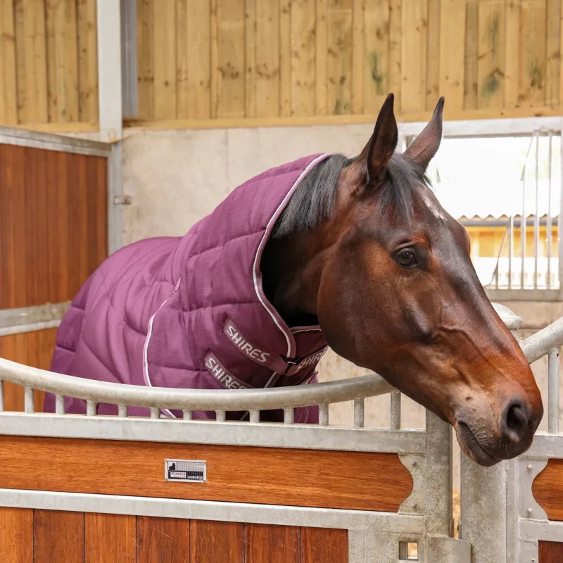 Shires Tempest Original 300g Stable Rug And Neck Set-1