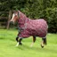 Shires Winnie And Me 200g Turnout Rug