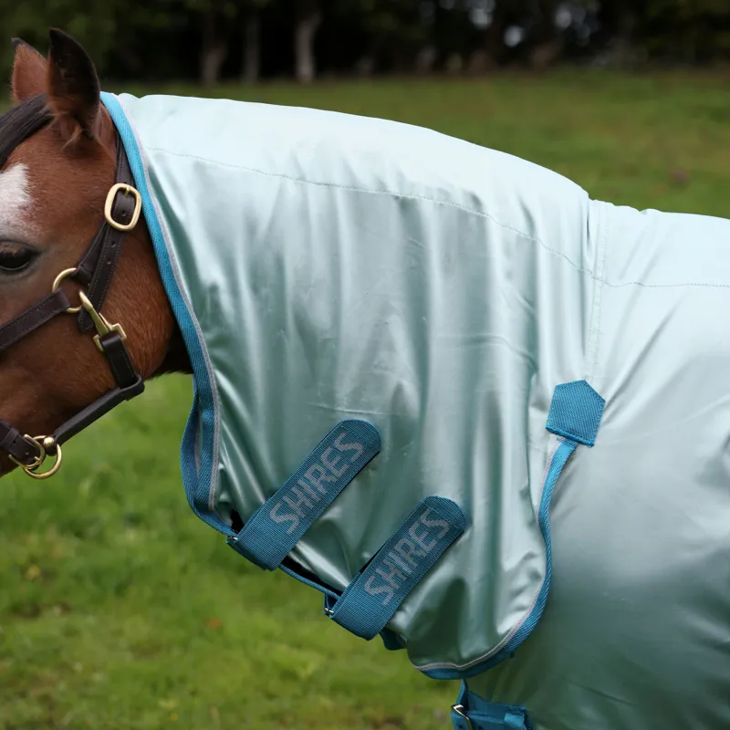 Shires Winnie And Me Fly Combo Rug Light Blue-4