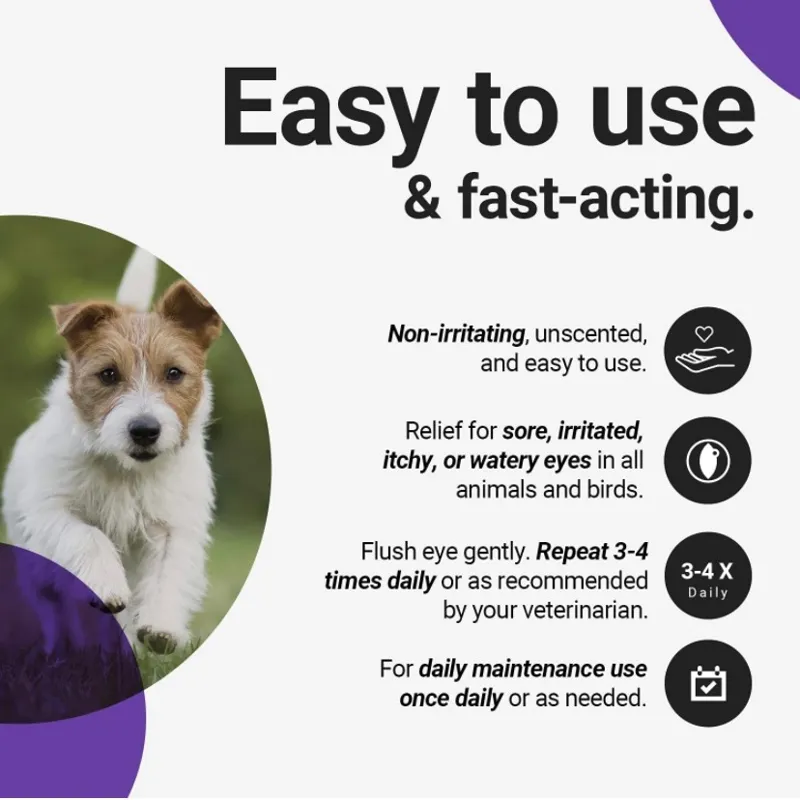 RenaSan Eye Drops 60ml-1