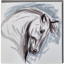 Gubblecote Watercolour Greetings Card - Grey Horse's Head