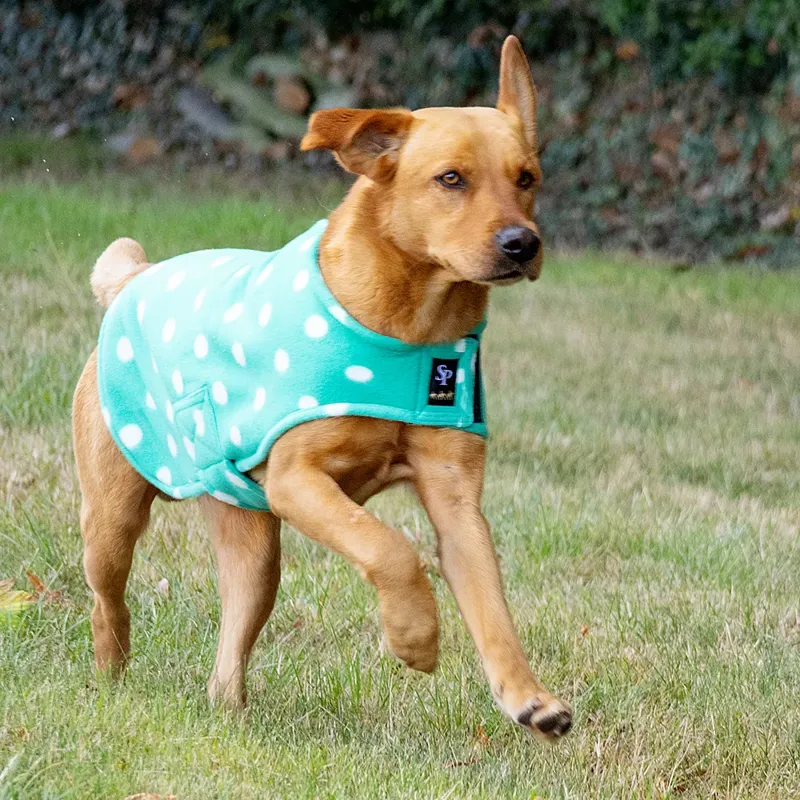Supreme Products Dotty Fleece Dog Coat Gorgeous Green