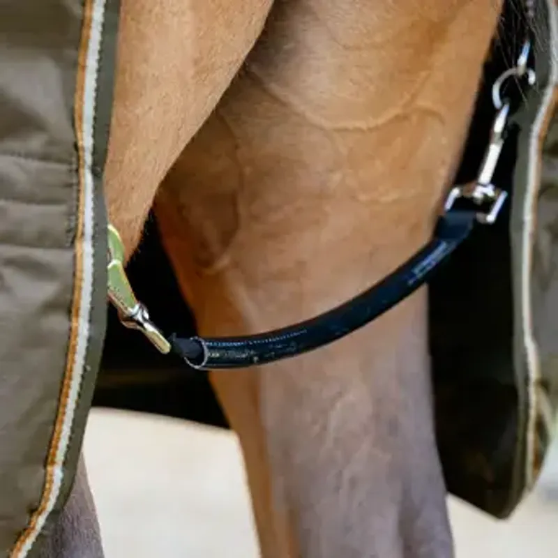 LeMieux Arika Ripstop 0g Turnout Rug Alpine-6
