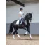 LeMieux Cotton Dressage Square Large White