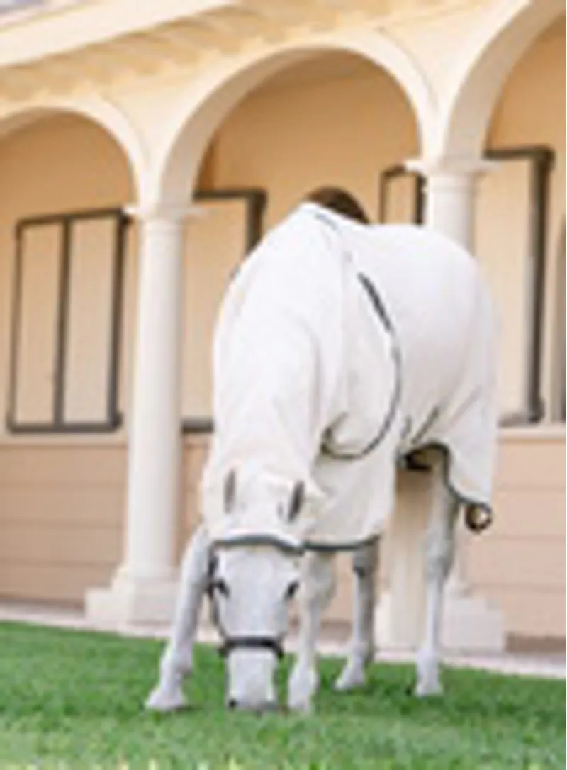 Rambo Hoody Fly Sweet Itch Rug Chalk/Hunter Green/Silver-3