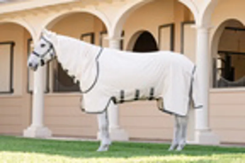 Rambo Hoody Fly Sweet Itch Rug Chalk/Hunter Green/Silver-1