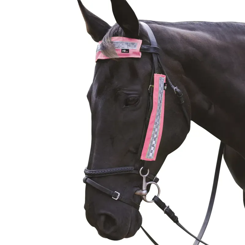 HyViz Bridle Set Pink
