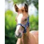 Shires Nylon Foal Headcollar 1 Size Navy