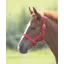Shires Nylon Foal Headcollar 1 Size Red