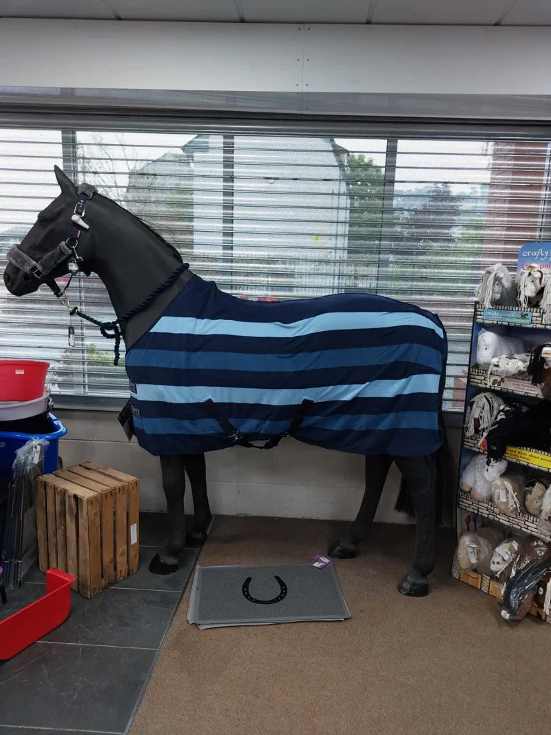 Shires Tempest Striped Fleece Rug Blue Stripe