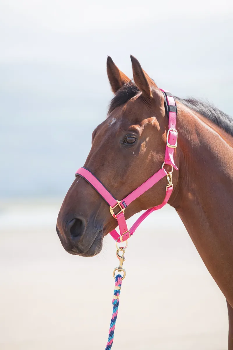Shires Topaz Headcollar Pink