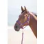 Shires Topaz Headcollar Purple