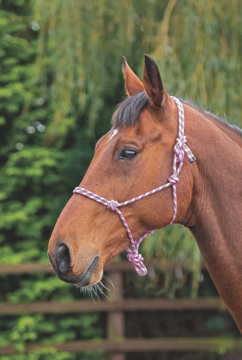 Shires Adjustable Rope Halter Adjustable Pink/Black