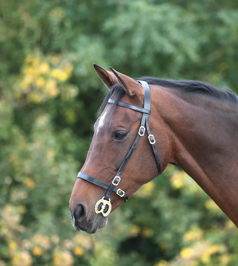 Shires Velociti Gara Plain Inhand Bridle Brown