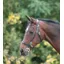 Shires Velociti Gara Plain Inhand Bridle Brown