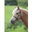 Shires Velociti GARA Plain Inhand Bridle Pony Black