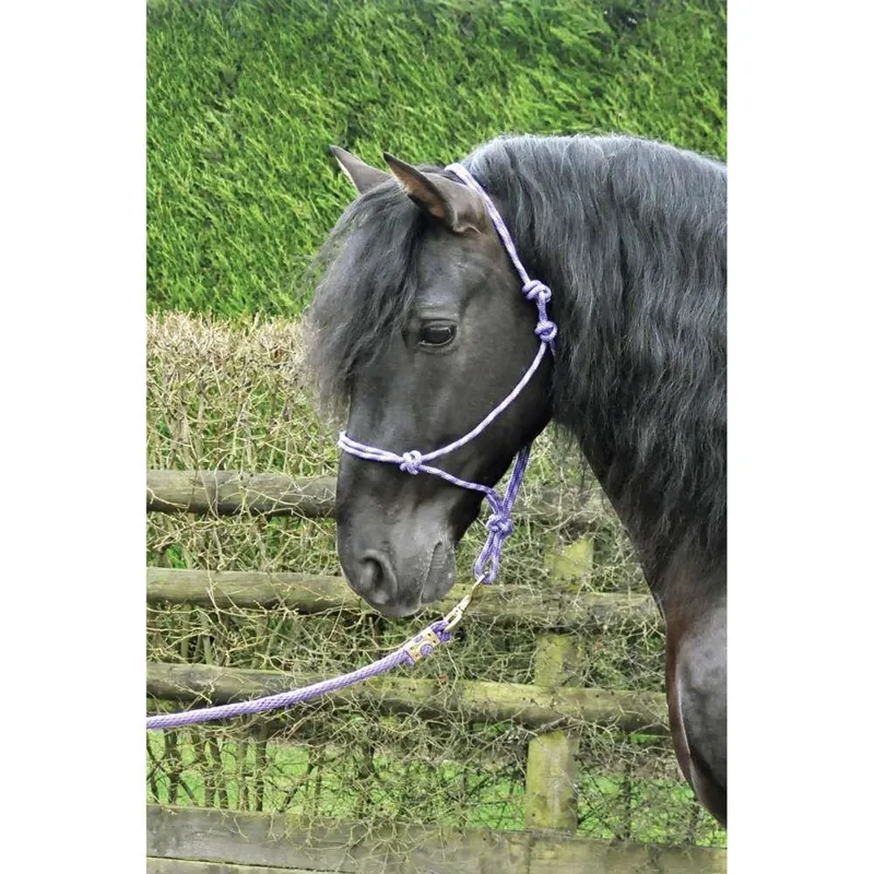KM Elite Rope Halter Black/Grey One Size