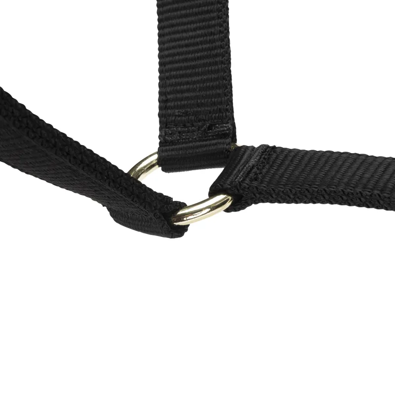 Shires Arma Adjustable Headcollar Black-3
