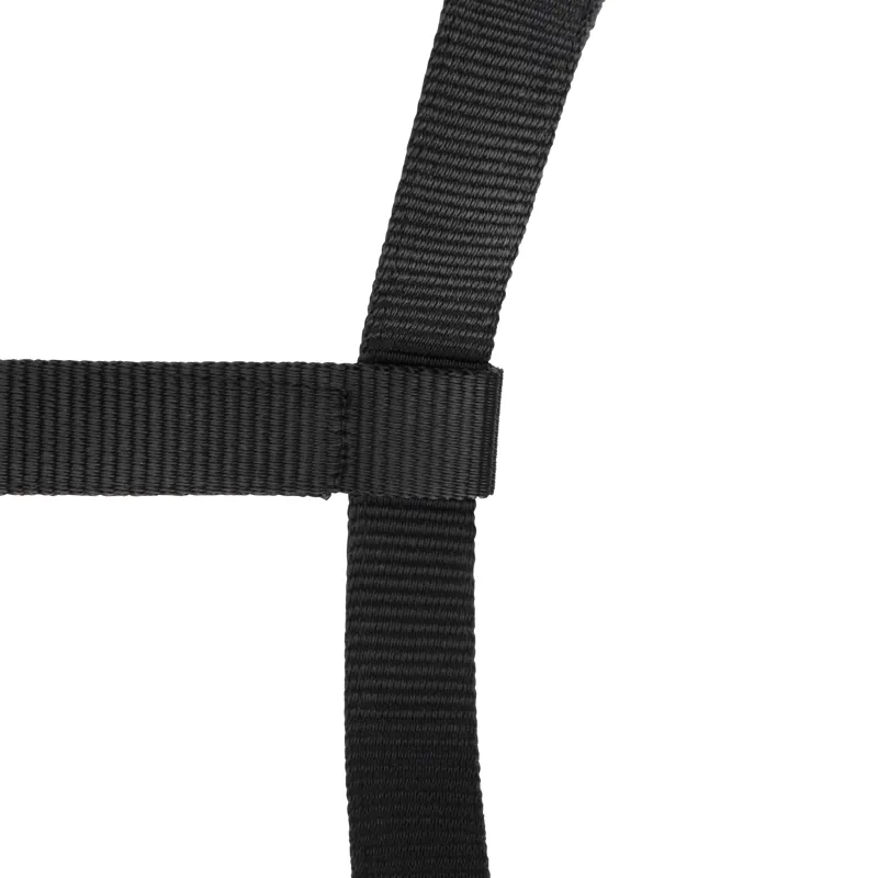 Shires Arma Adjustable Headcollar Black-4