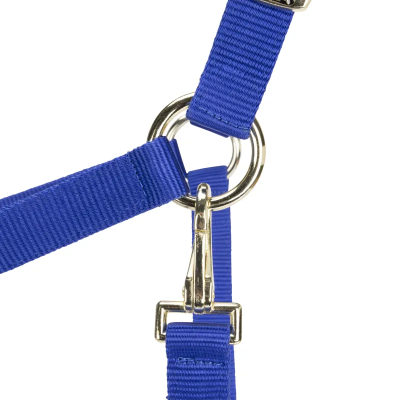 Shires Arma Adjustable Headcollar Blue-3
