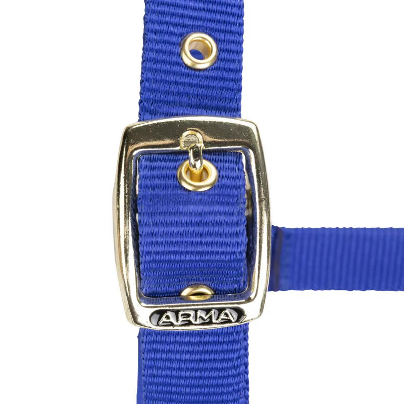 Shires Arma Adjustable Headcollar Blue-2