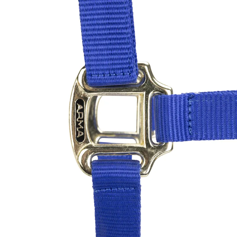 Shires Arma Adjustable Headcollar Blue-1
