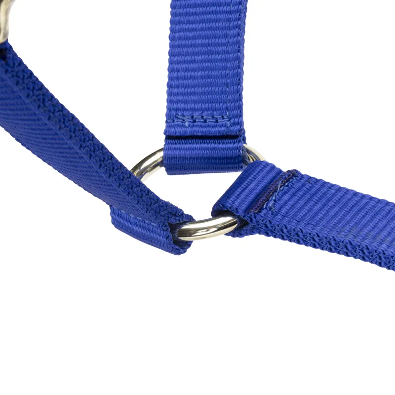 Shires Arma Adjustable Headcollar Blue-5