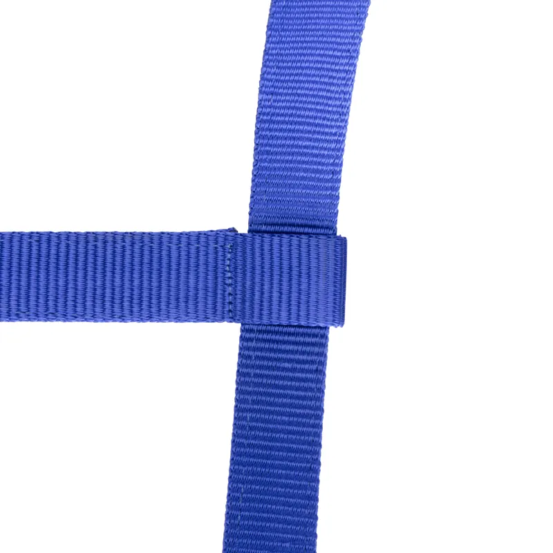 Shires Arma Adjustable Headcollar Blue-4