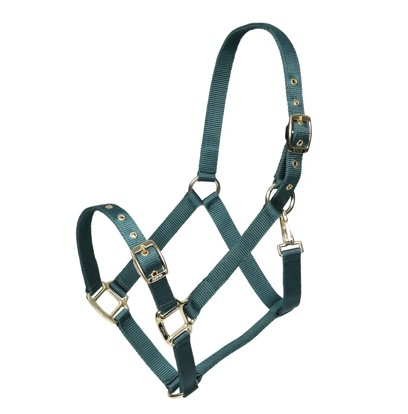 Shires Arma Adjustable Headcollar Green