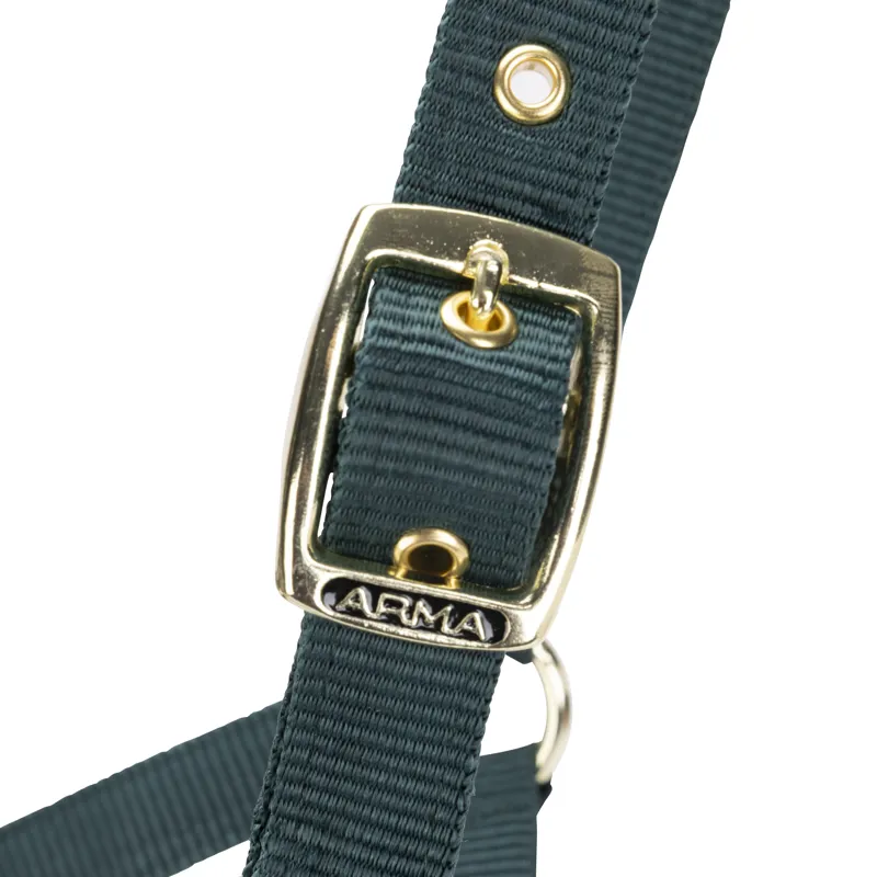 Shires Arma Adjustable Headcollar Green-1