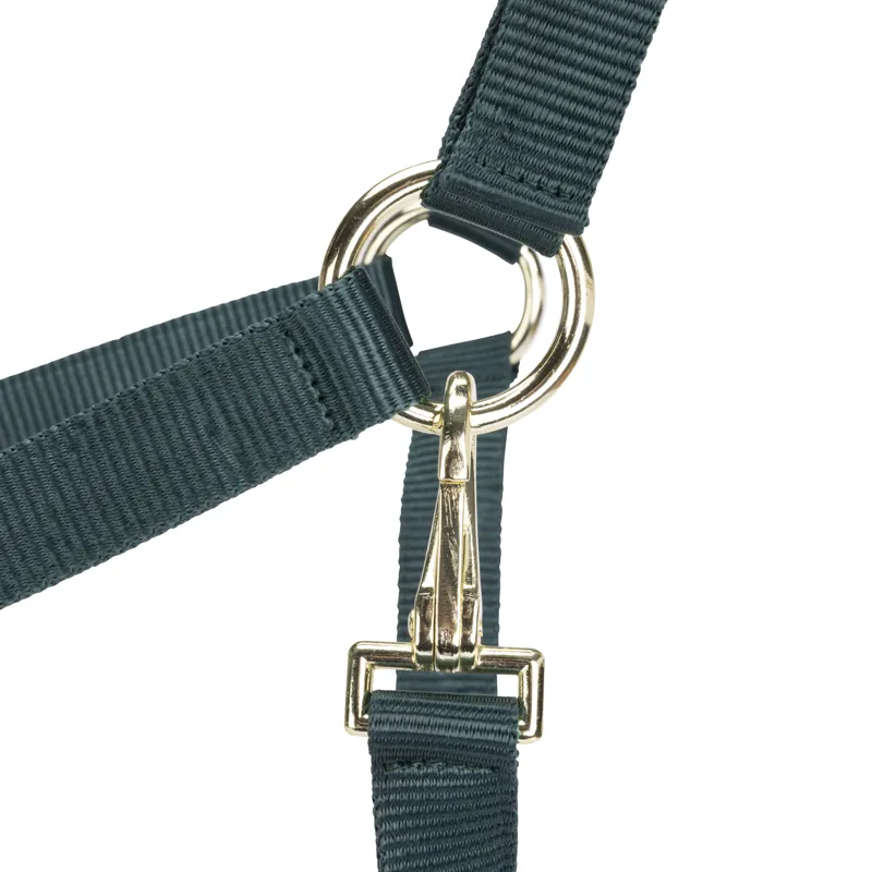 Shires Arma Adjustable Headcollar Green-2