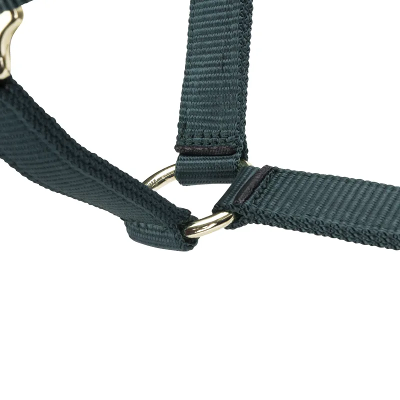 Shires Arma Adjustable Headcollar Green-3